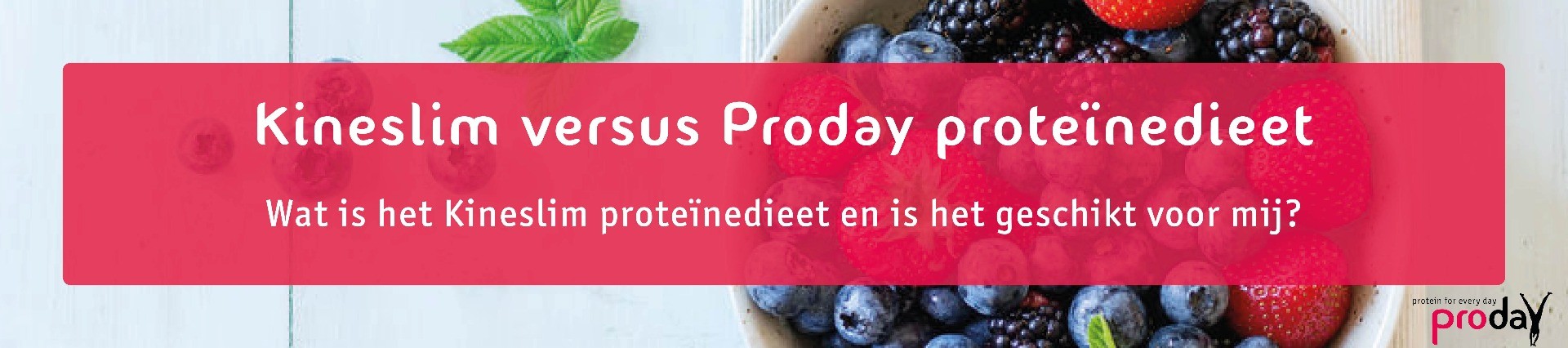 kineslim dieet proday alternatief 