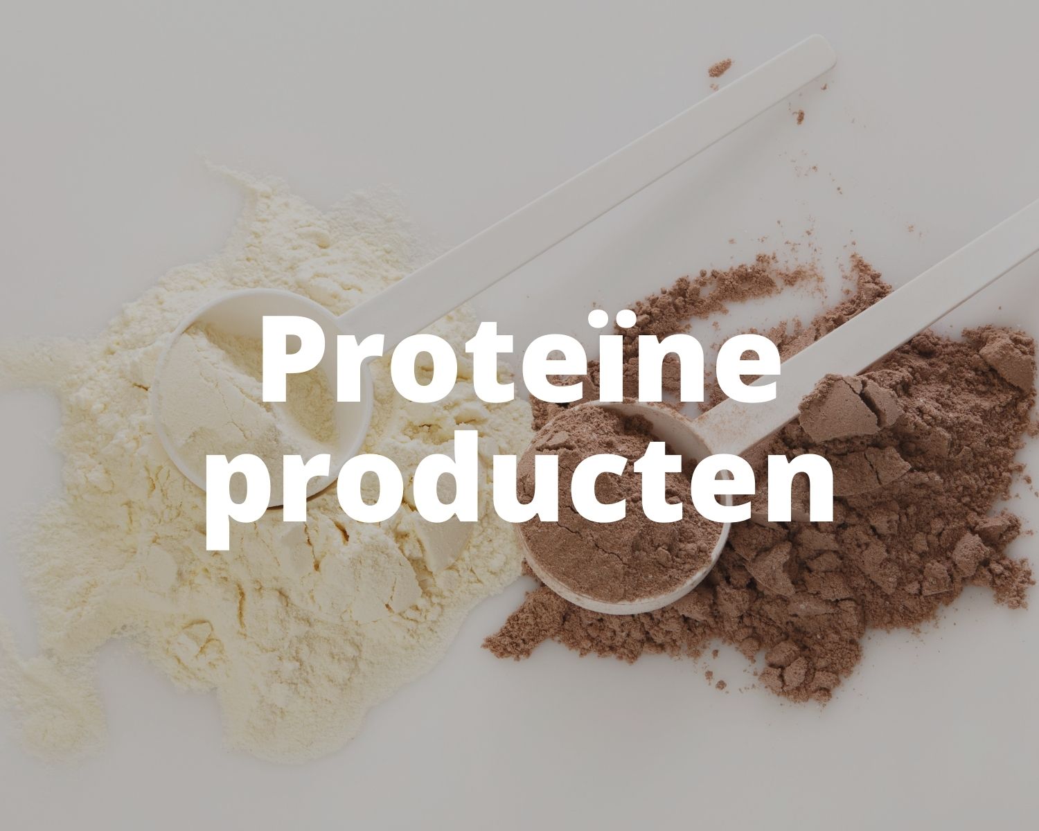Proteïne producten Proday
